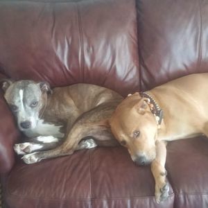 Meet your Posher, Kristin